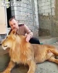 Aslana tokat atan adam