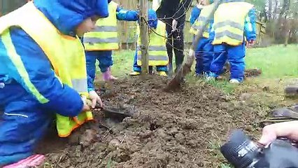 Tree Planting At The Wild Place Project With The Abbeywood Tots!
