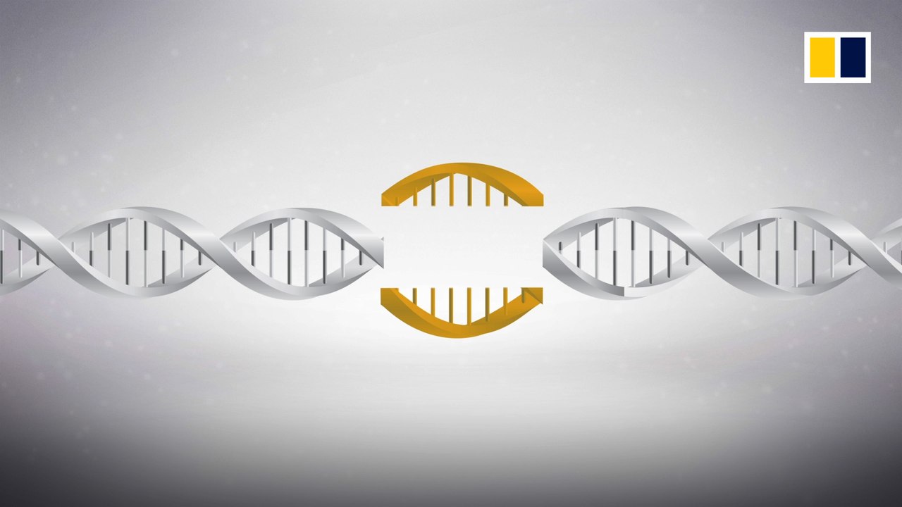 CRISPR gene editing explained