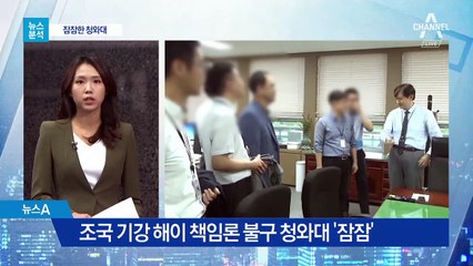 [뉴스분석]11월에만 3건…기강 무너진 특별감찰반