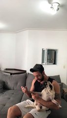 Une chienne ne veut pas se faire couper les ongles