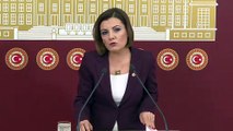 CHP Kocaeli Milletvekili Hürriyet: 'Emeklilik koşulları yeniden düzenlenmeli' - TBMM