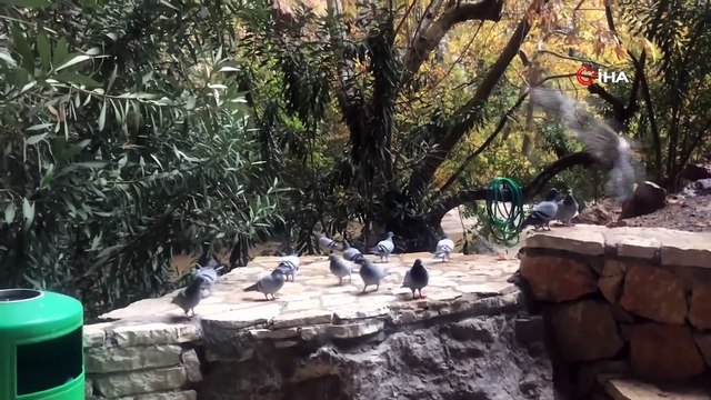 Dünyaca ünlü Altınbeşik Mağarası taştı