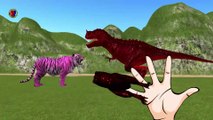 Dinosaur vs tiger funny finger family rhymes for toddlers - 3D nursery rhymes for kids