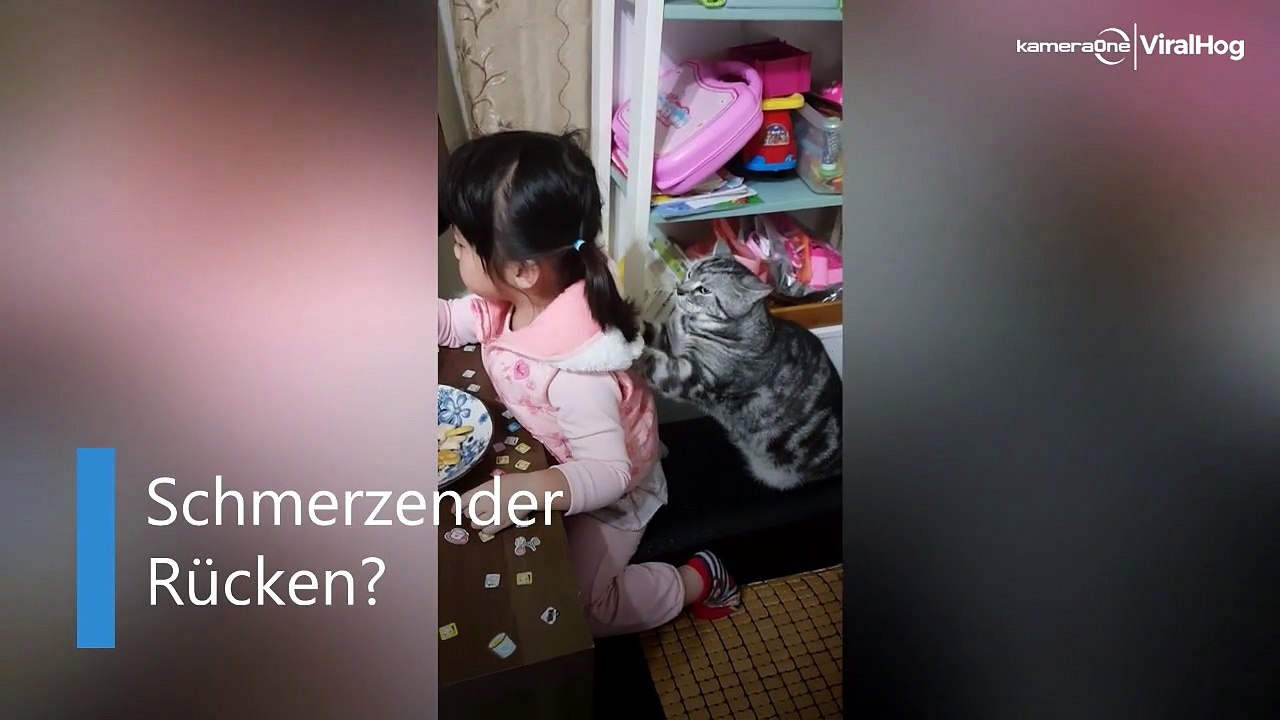 Kleines Mädchen bekommt Katzen-Massage