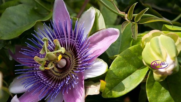 Đêm Tâm Sự Karaoke - Tone Nữ l Beat Nhạc Sống l Minh Duc Karaoke