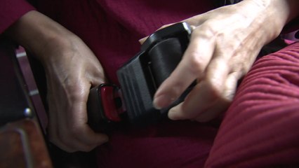 내일부터 '전 좌석 안전띠·자전거 음주운전' 특별단속 / YTN