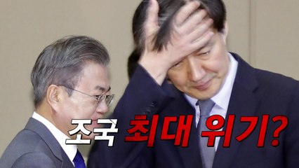이번엔 특감반...해도 너무한 靑 기강해이 / YTN