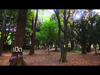 เปิดตำนานกับเผ่าทอง 35.1