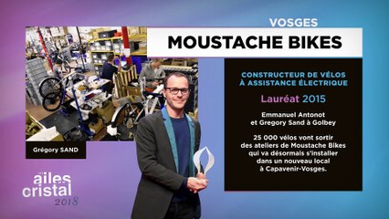 Ailes de cristal 2018 : les précédents lauréats