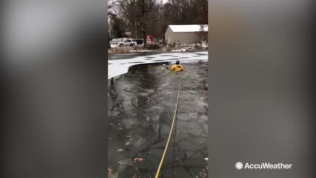 Courageous firefighters save dog from icy pond