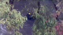 Man trapped by Los Angeles floodwaters rescued by chopper