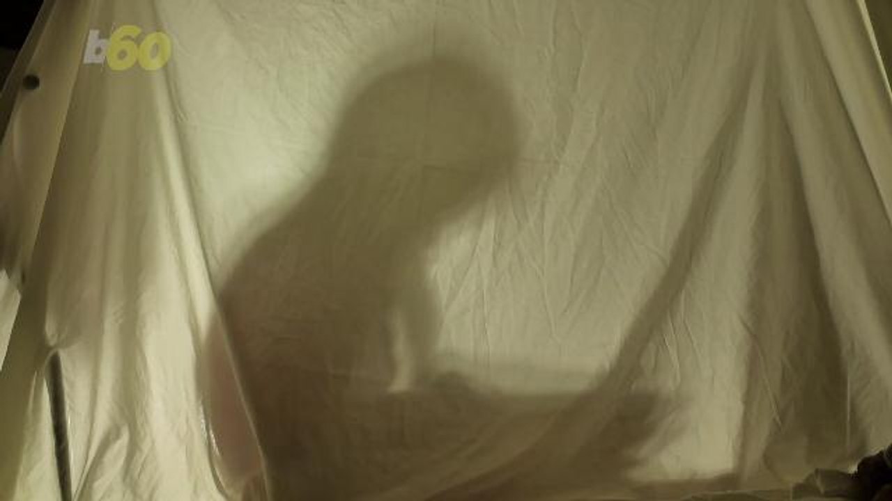 Camping Out on Christmas, Costumed Cats & Other Quirky Holiday Traditions