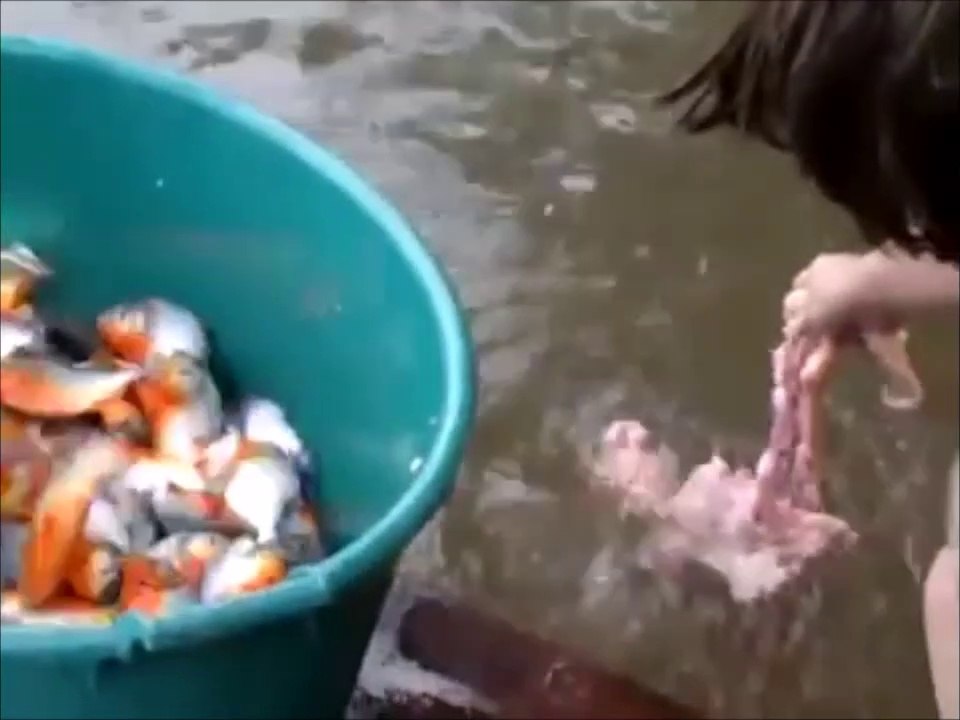 Sa technique pour pecher des piranhas est incroyable et très efficace