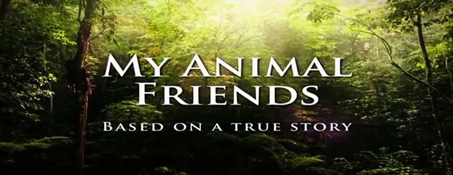 Kids Education|Animals Documentary #09