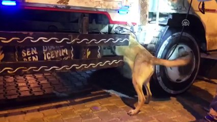 Kamyon şasesinde yaklaşık 40 kilogram eroin yakalandı - VAN