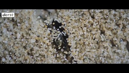 A MAN FALLS FROM THE SKY | JAN VERDIJK & KURT PLATVOET | VPRO DORST