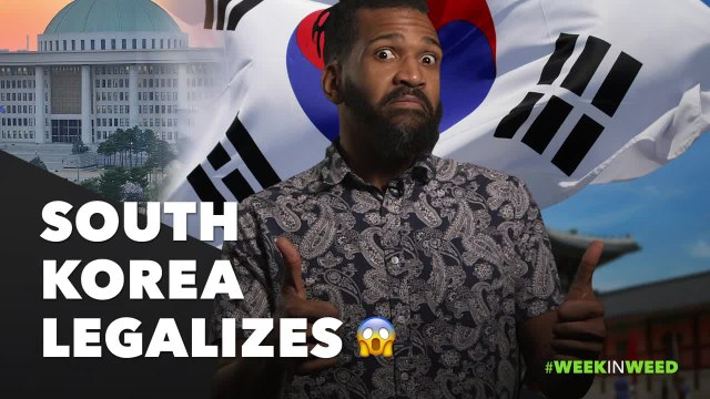 This Week in Weed: South Korea Legalizes Medical Pot!