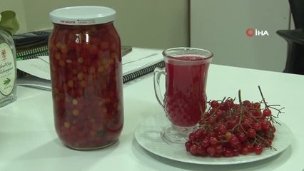 Bu Meyve Kansere Karşı Koruyor