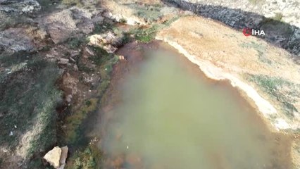 Dünyada Örneği Az, Biri de Sivas'ta