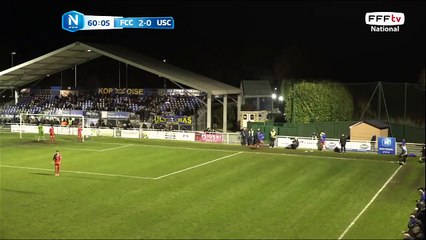 La tête magnifique manque de peu le cadre.