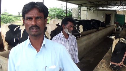 DAIRY FARMING IN INDIA