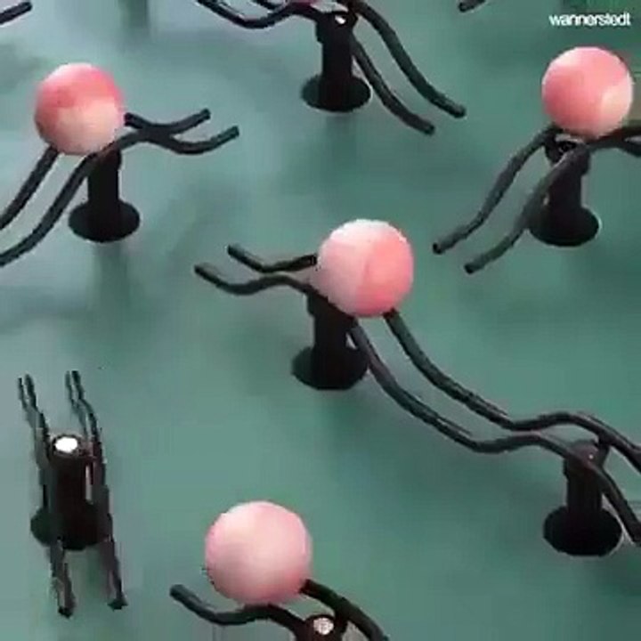 génial la physique !