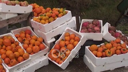 Ora News - Berat, fshatarët nuk kanë treg, prodhimet e tyre kalben