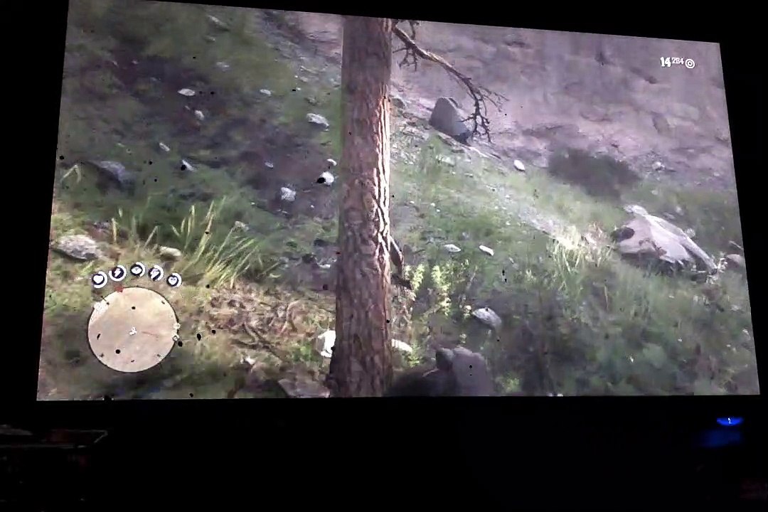 Red Dead Redemption 2