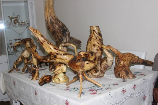 Ağaç Kökleri Sanat Eserine Dönüşüyor