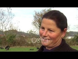 Ora News - Në fushat e Baldushkut me gjelat e detit, kanë nisur porositë dhe shitjet