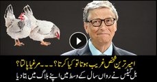 Bill Gates explains why chickens are the ultimate solution to poverty