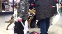 Alışveriş Merkezinde Narkotik Köpeği 'Rona'ya Yoğun İlgi