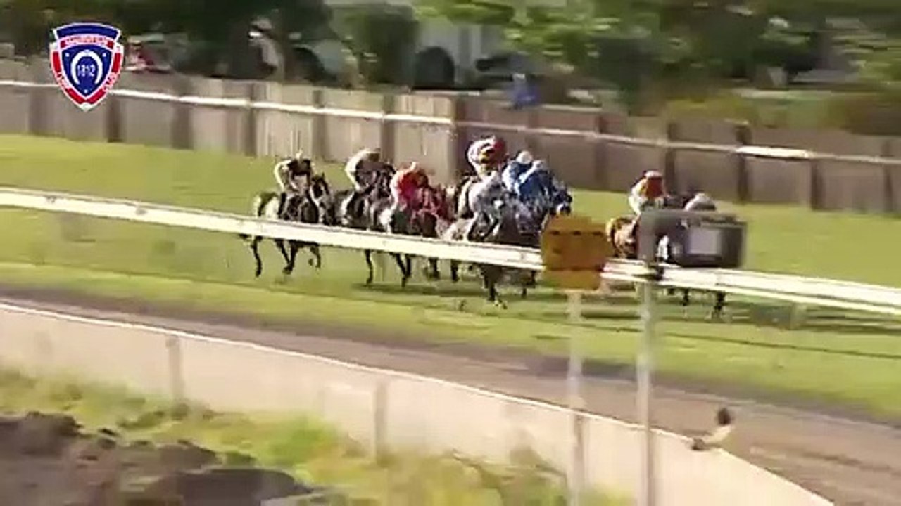 Journee 37 Course 8 2018