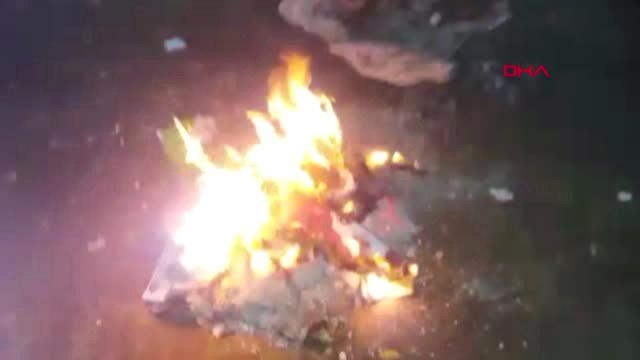 Hatay Aç ve Soğuktan Üşüyen Tilki Yavrusuna Gençler Sahip Çıktı