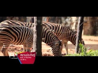 TEASER - สยามประดิษฐ์ - ตอน เขาดิน