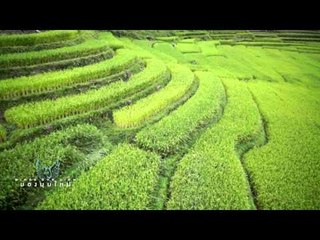 Bird's Eye View (ดอยอินทนนท์ P1)