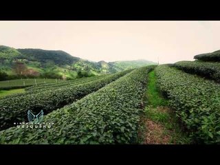 Bird's Eye View (พระบรมธาตุเจดีย์ P3)