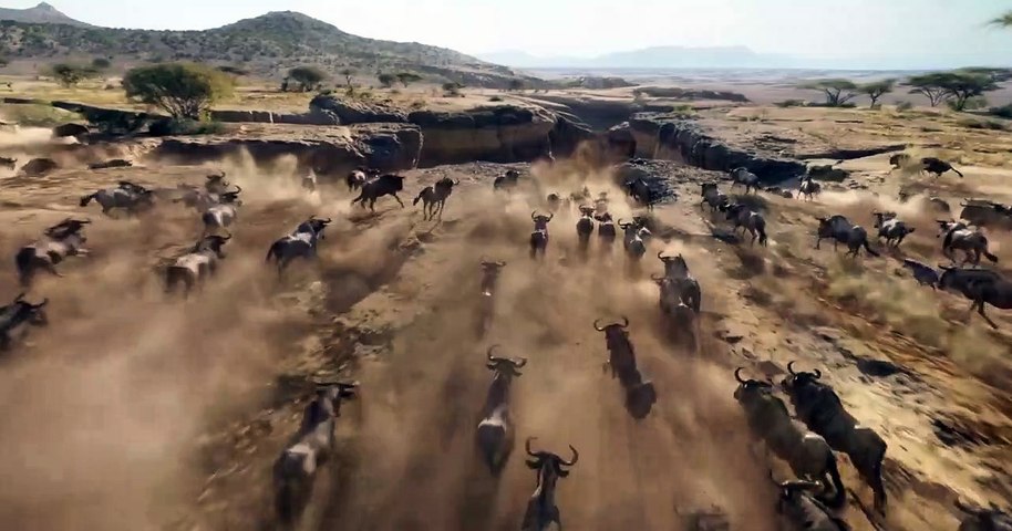 The Lion King Official Teaser Trailer