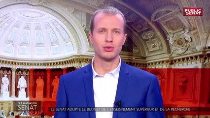 PLF 2019 : Crédits Recherche et enseignement supérieur - Les matins du Sénat (04/12/2018)