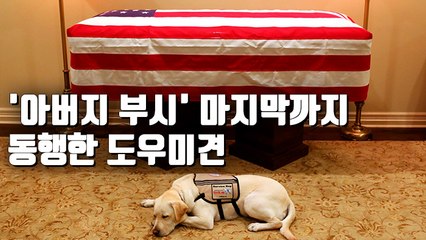 [자막뉴스] 부시의 마지막 워싱턴 여행…추모 속 의사당에 안치