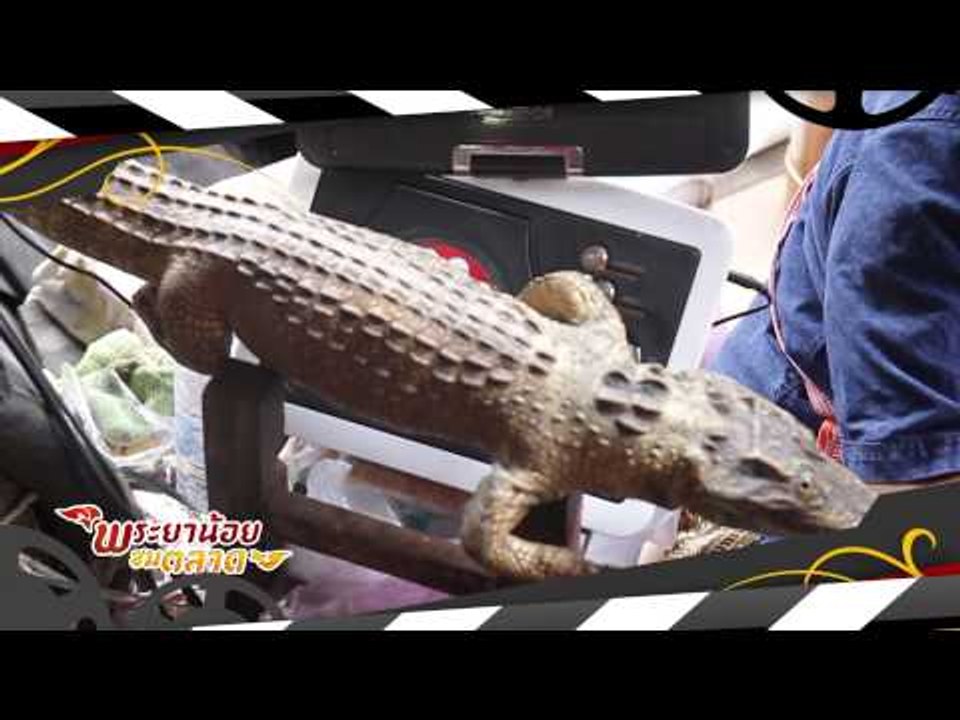 เปิดบ้านPPTV (25.1)