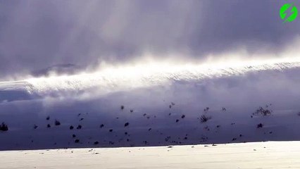 Download Video: Une impressionnante vague de neige poussée par le vent