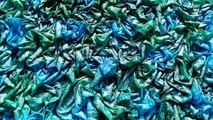 Process Batik jelly rolls fabric with 100 % cotton at Batikdlidir solo Indonesia