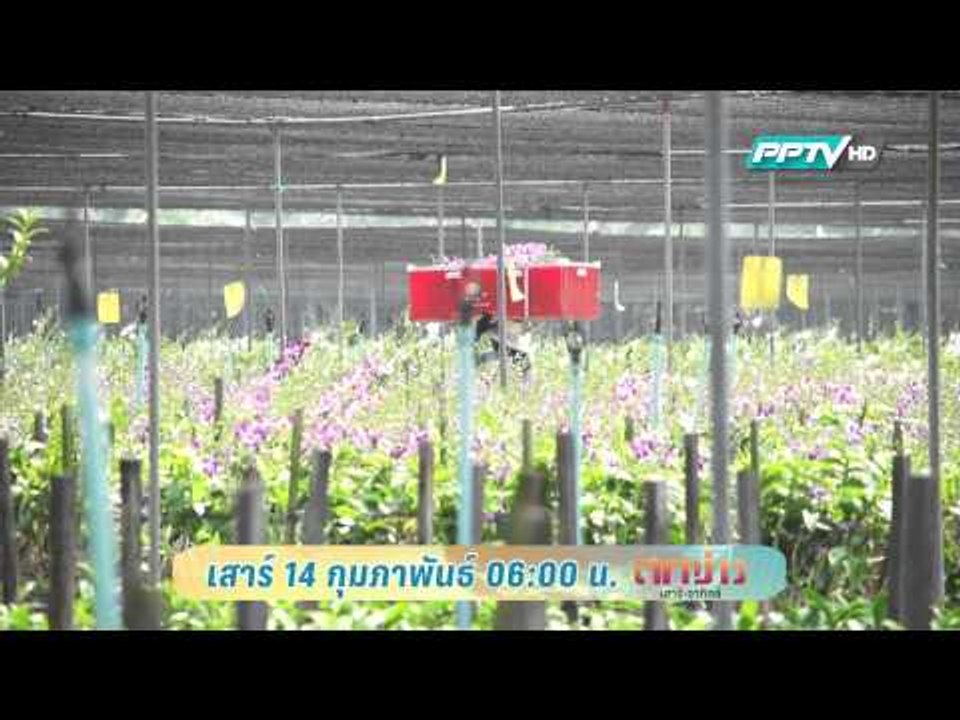 ถกข่าว เสาร์-อาทิตย์ (14/02/58 06:00น)
