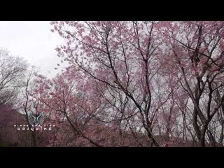 Bird's Eye View (เมืองน่าน) 44.2