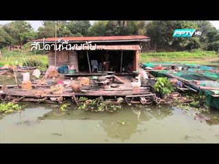 ตัวอย่างรายการ Mc Dang Travel Log เที่ยวกินหมึกแดง (05/04/58 11:30น)