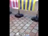 Yolda Yürürken Fenerbahçe Bayrağını Gören Minik