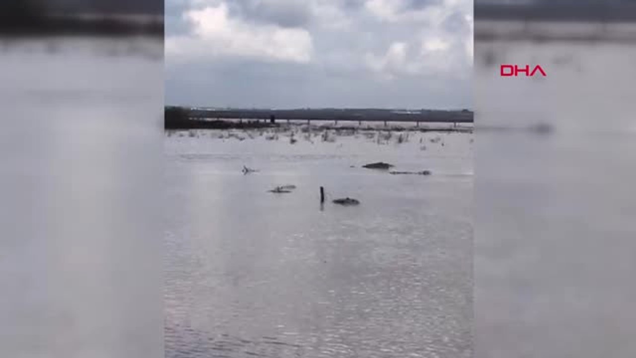Şanlıurfa Ceylanpınar Sınırında 10 Asker 'Sel' Nedeniyle Mahsur Kaldı