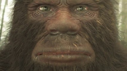 BIGFOOT Mysteries